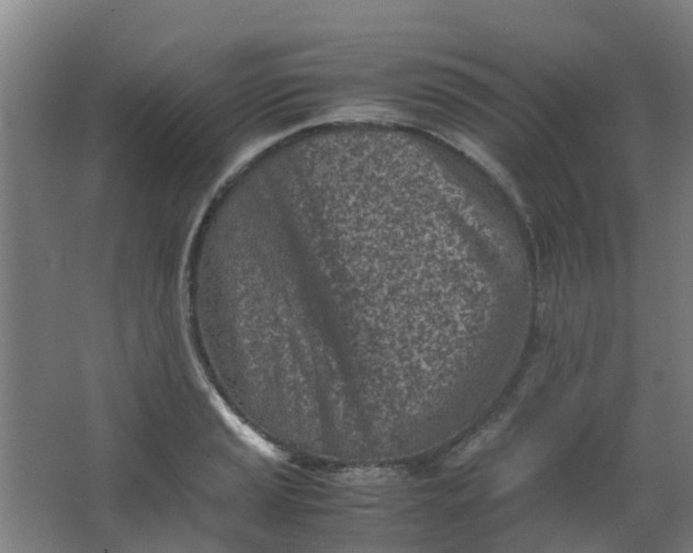 X0000063521037200602032105