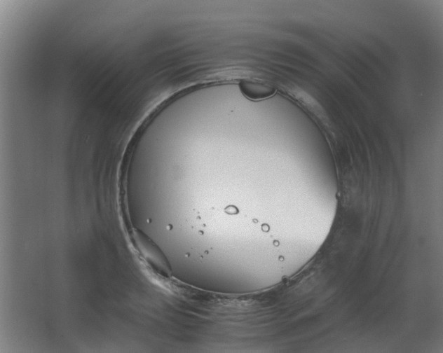 X0000063521039200602032105