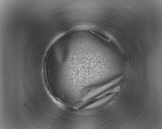 X0000063521042200602032105