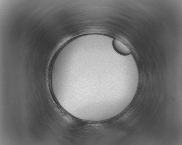 X0000063521043200602032105