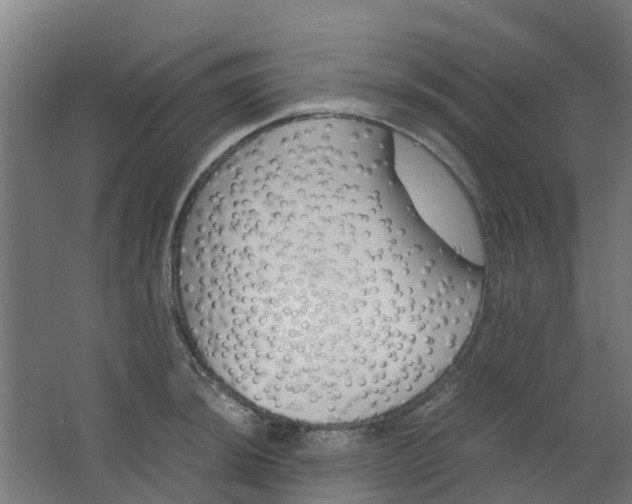 X0000063521044200602032105