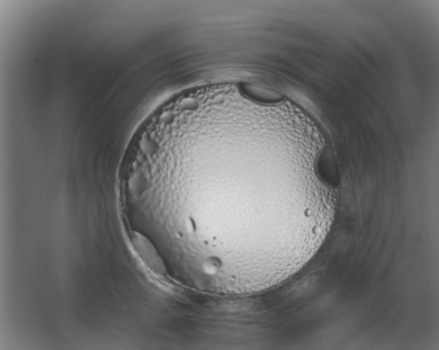 X0000063521047200602032105