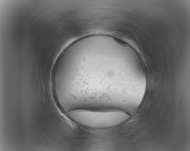 X0000063521048200602032105