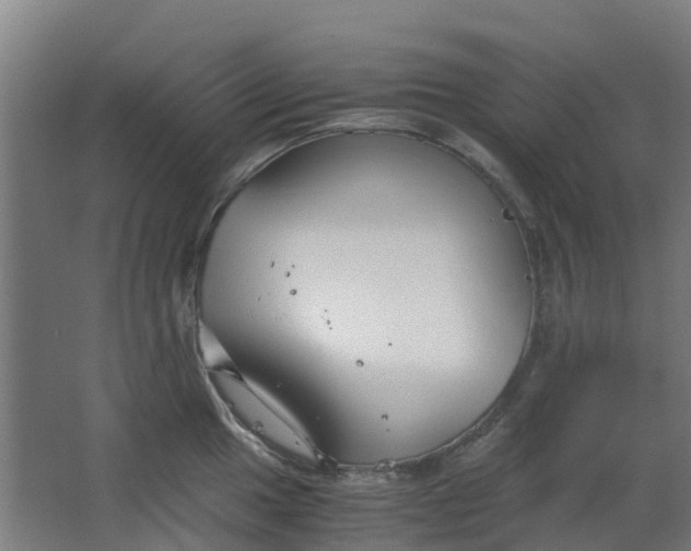 X0000063521049200602032105