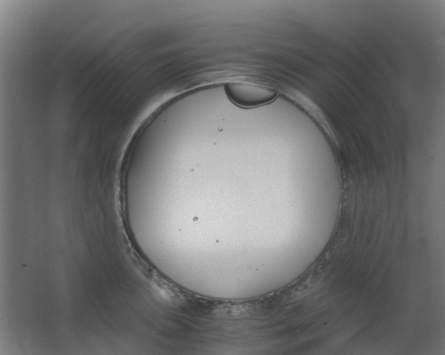 X0000063521051200602032105