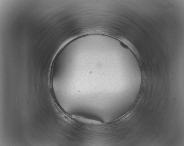 X0000063521052200602032105