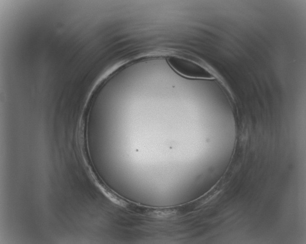 X0000063521053200602032105