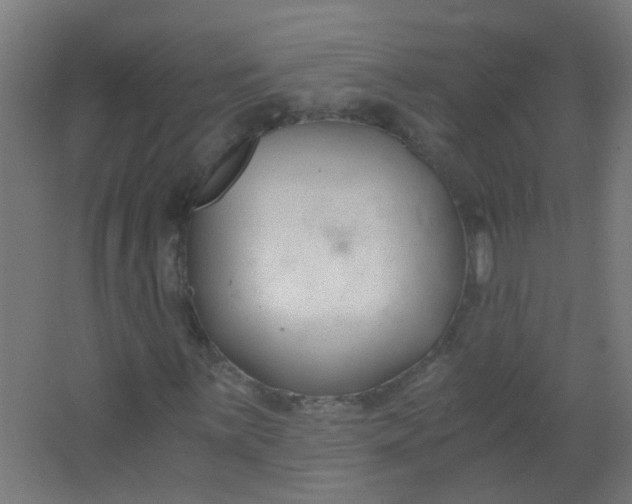 X0000063521059200602032104