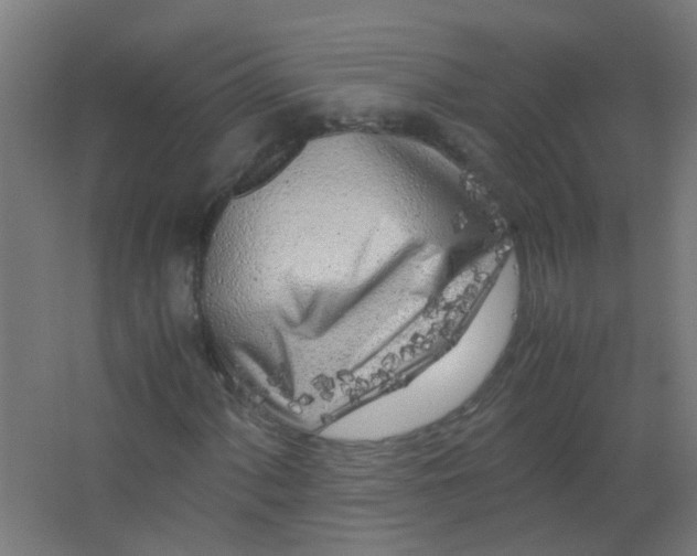 X0000063521060200602032104