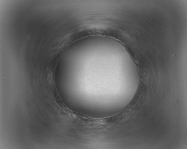 X0000063521061200602032104