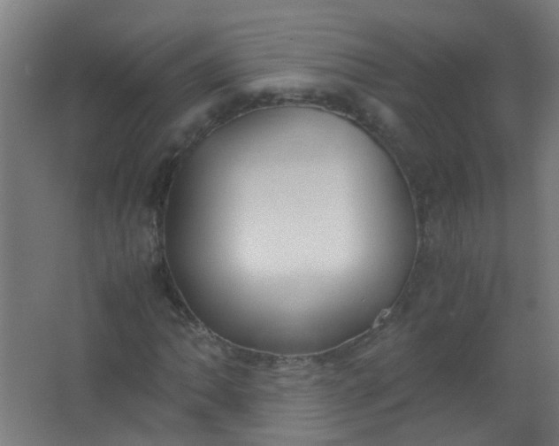 X0000063521062200602032104