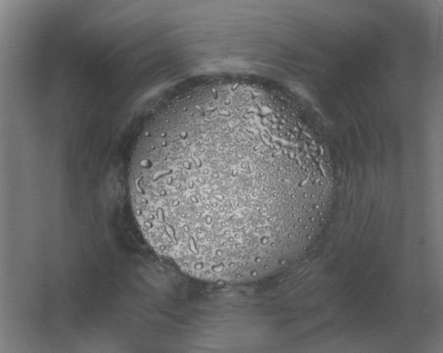 X0000063521063200602032104