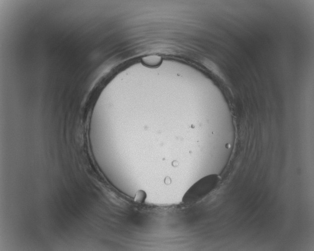 X0000063521067200602032104