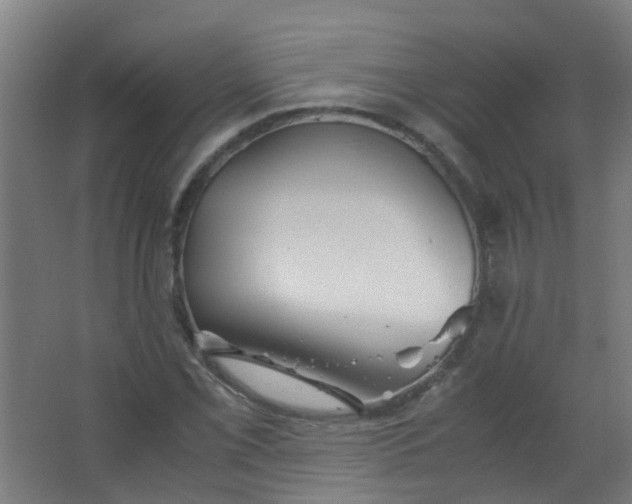 X0000063521069200602032104