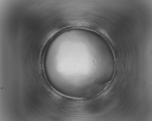 X0000063521071200602032104