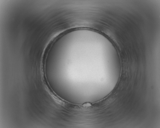 X0000063521072200602032104