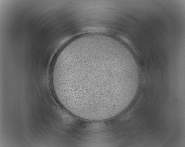 X0000063521074200602032104