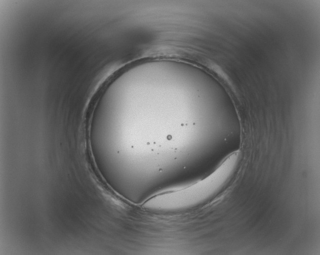 X0000063521075200602032104