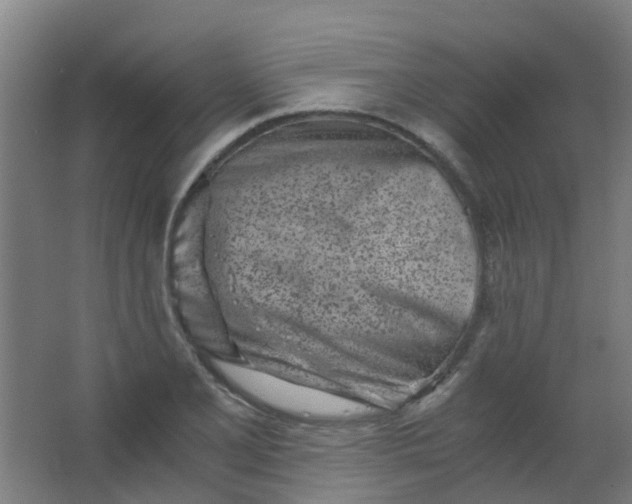 X0000063521077200602032104