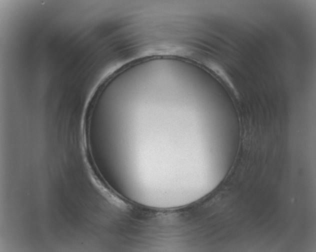 X0000063521080200602032104