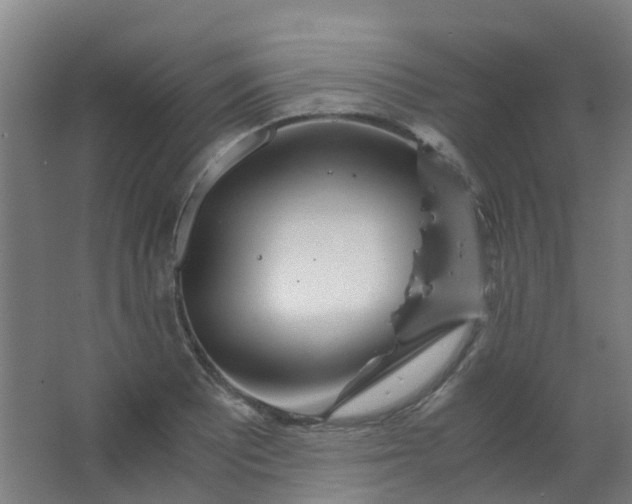 X0000063521081200602032104