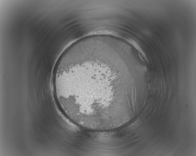 X0000063521084200602032104