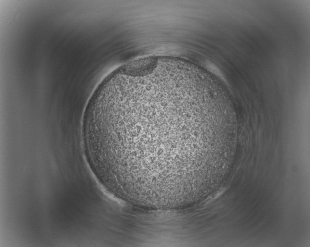 X0000063521087200602032104