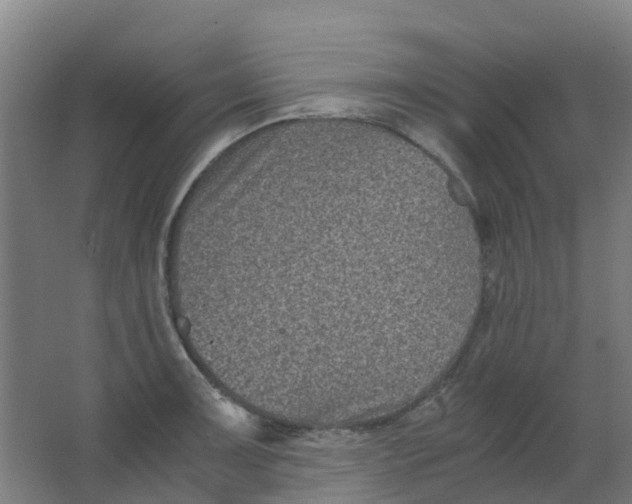 X0000063521091200602032103