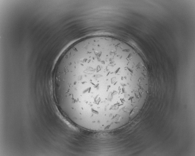 X0000063521092200602032103