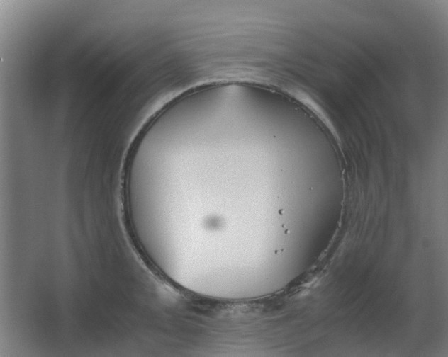 X0000063521093200602032103