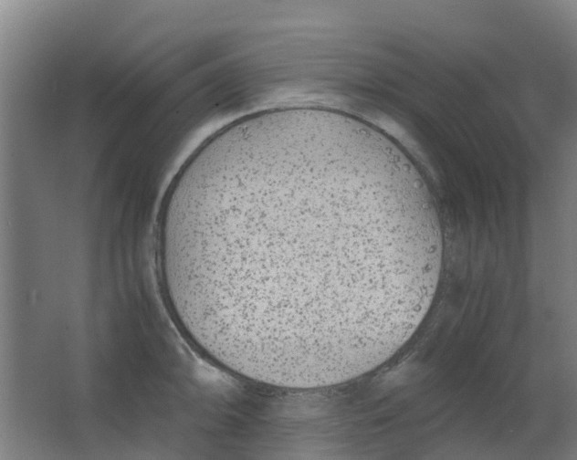 X0000063521094200602032103