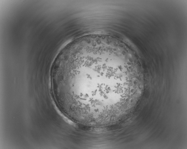 X0000063521095200602032103