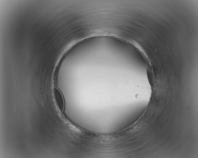 X0000063521096200602032103