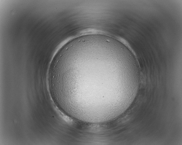 X0000063521098200602032103