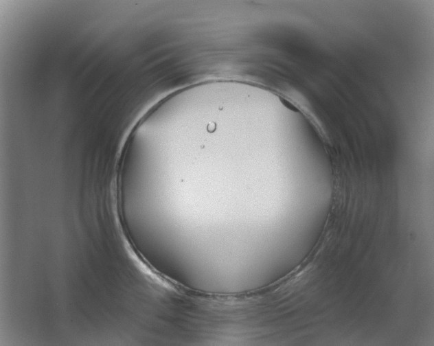 X0000063521100200602032103