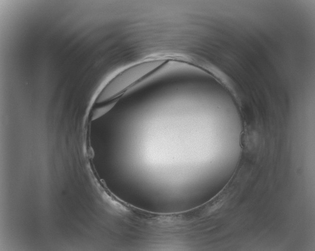 X0000063521102200602032103