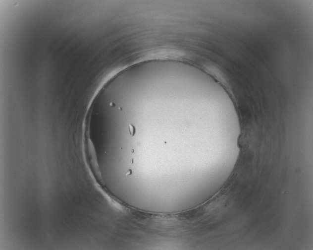 X0000063521103200602032103