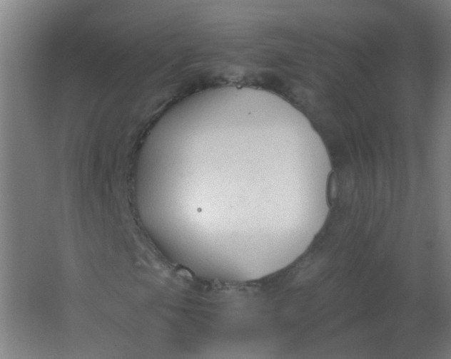 X0000063521105200602032102