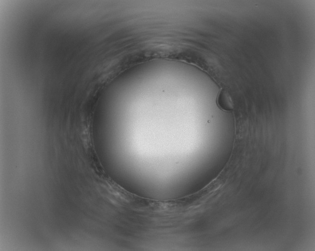 X0000063521109200602032103