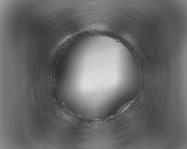 X0000063521112200602032103