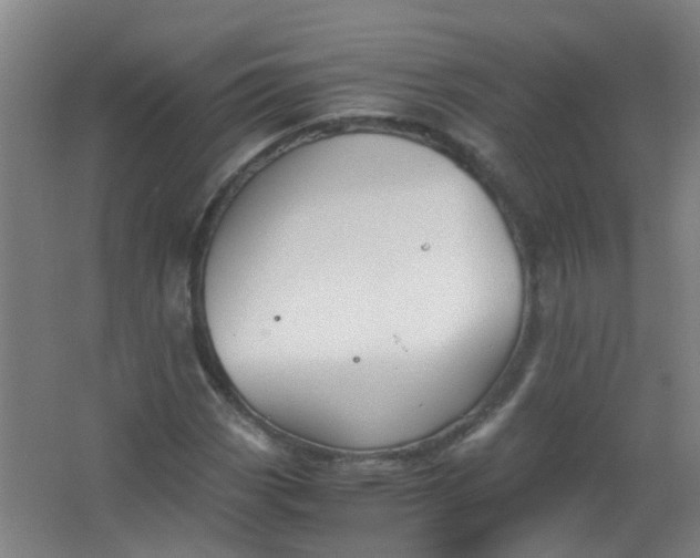 X0000063521113200602032103