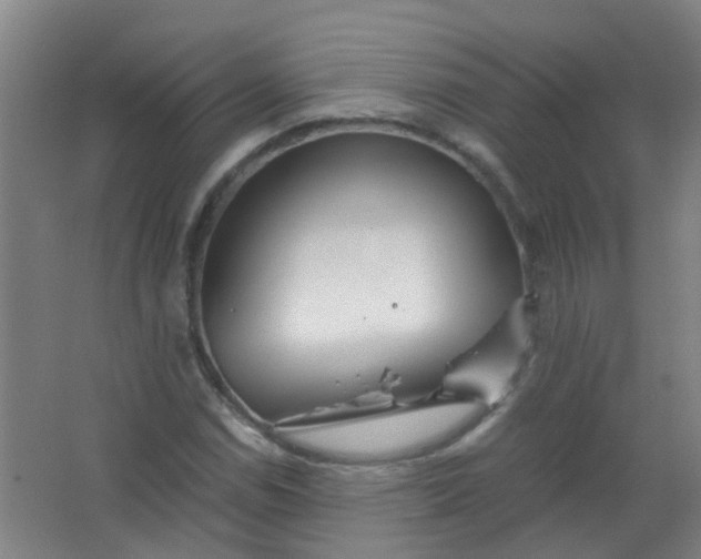 X0000063521114200602032103