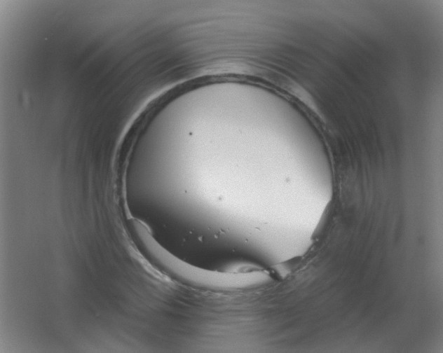 X0000063521116200602032103