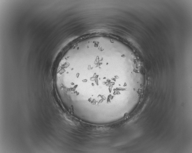 X0000063521117200602032103