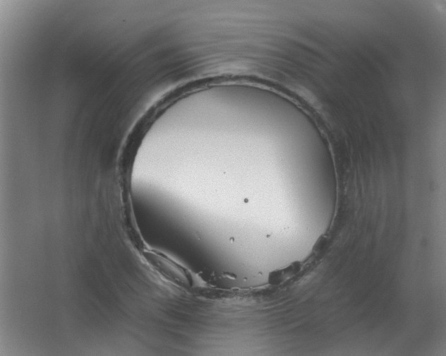 X0000063521118200602032103