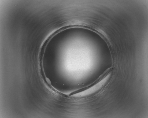 X0000063521120200602032103