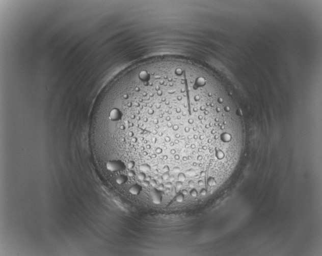 X0000063521121200602032103