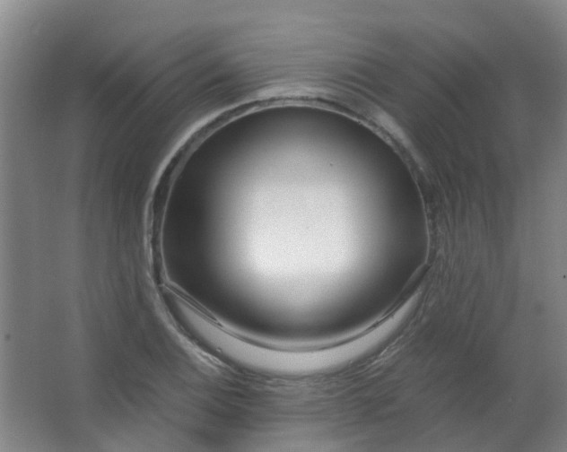 X0000063521124200602032103