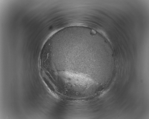 X0000063521125200602032103