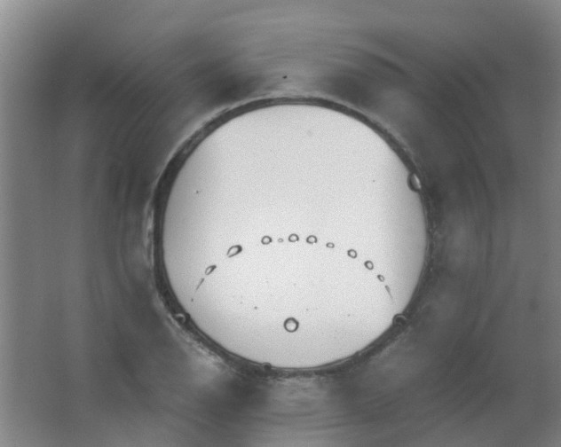 X0000063521126200602032103